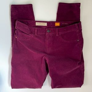 Pilcro & the Letterpress Mauve Curduroy Pants